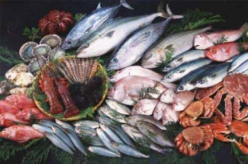 書接上回，進(jìn)口水產(chǎn)品和冷凍肉類所需重點(diǎn)